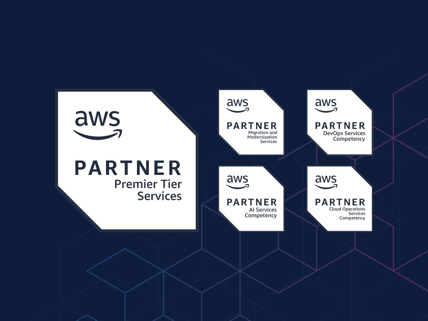 AWS Partner